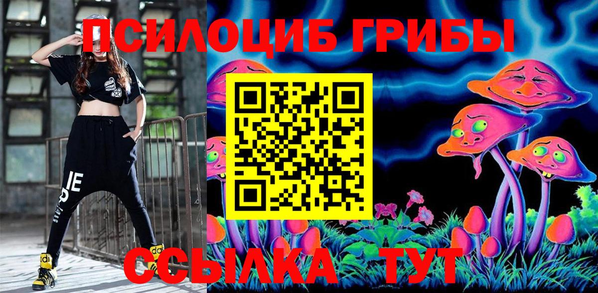 Всеволожск  наркошоп  Вход с VPN  Галлюциногенные грибы Cubensis 