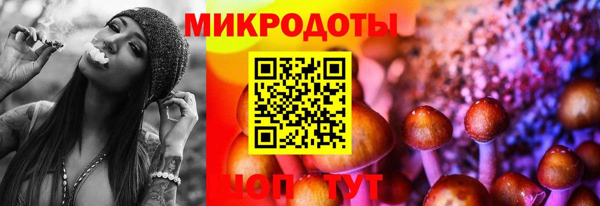 Галлюциногенные грибы мухоморы Всеволожск
