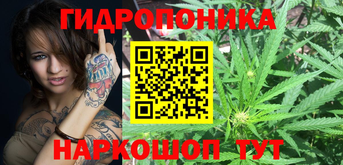 Конопля Ganja  Канабис семена  Канабис White Widow  Вход с VPN  Всеволожск 